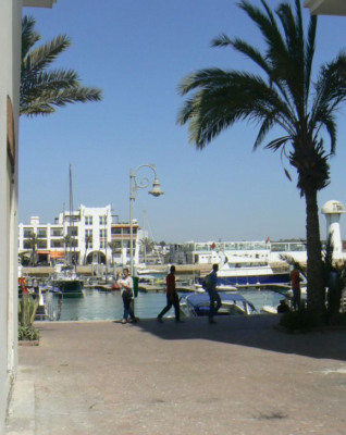 Agadir Marina, a picturesque harbor with boats docked along the waterfront, surrounded by palm trees and modern buildings, showcasing the city's maritime charm and leisure activities.